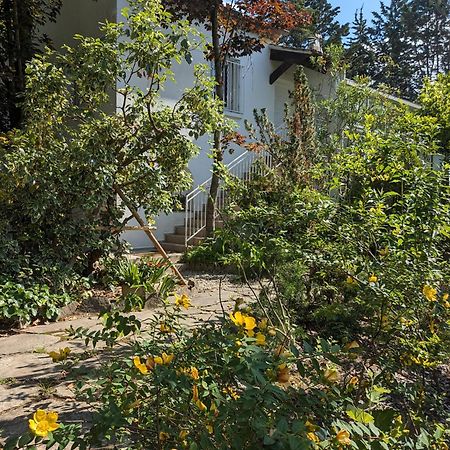Maison Spacieuse Et Lumineuse 4 Personnes Lavilledieu  Exterior foto