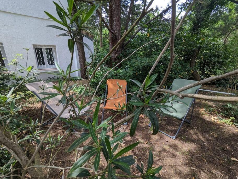 Maison Spacieuse Et Lumineuse 4 Personnes Lavilledieu  Exterior foto